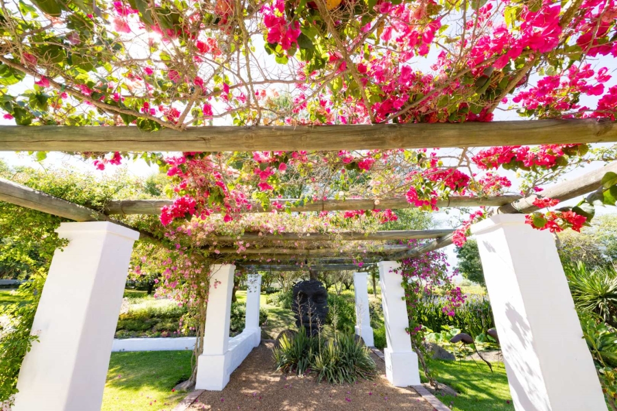 6 Bedroom Property for Sale in Klein Parys Western Cape